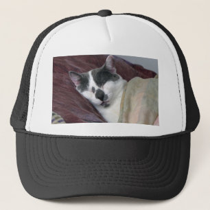 Kat Napping Trucker Pet