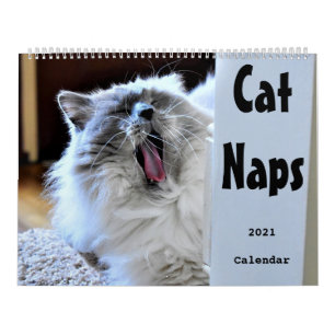 Kat Naps 2021 Agenda Kalender