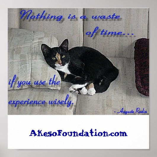 Kat Naps Poster (Voorkant)