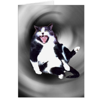 Kat neerschuiven op kaart