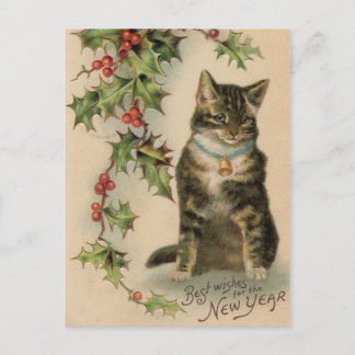 Kat Nieuwjaar Kerstpost Kaart