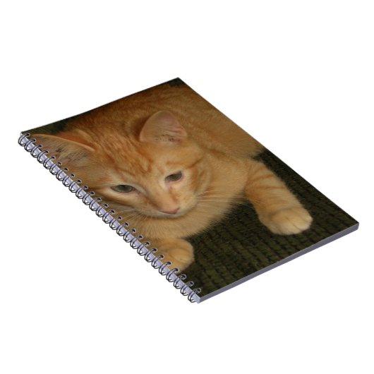 Kat Notitieboek (Rechterzijde)