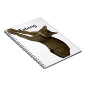 Kat. Notitieboek (Rechterzijde)