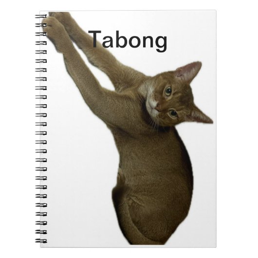 Kat. Notitieboek (Voorkant)