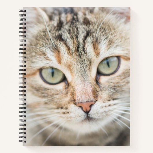 Kat Notitieboek (Voorkant)