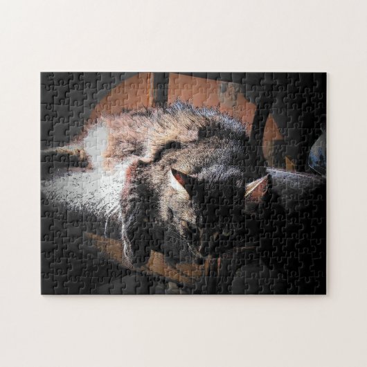 Kat of foto-puzzel legpuzzel (Horizontaal)