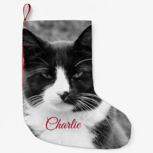 Kat of Hond Gepersonaliseerd Vakantie Kleine Kerstsok