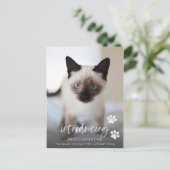 Kat of Keukenadoptie, Introductie van de Nieuwe Fo Briefkaart (Staand voorkant)