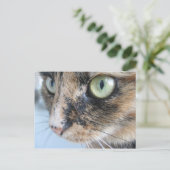 Kat ogen briefkaart (Staand voorkant)