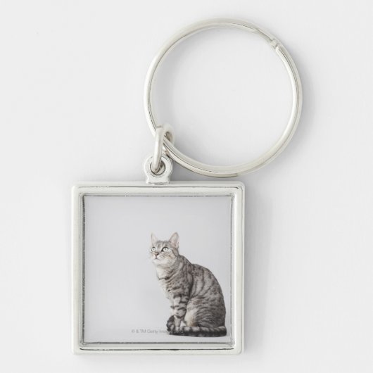 Kat omhoog sleutelhanger (Voorkant)