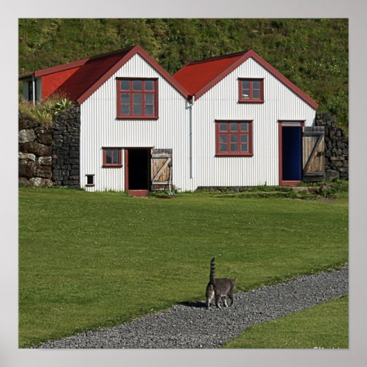 Kat omhoog spoelen poster (Voorkant)