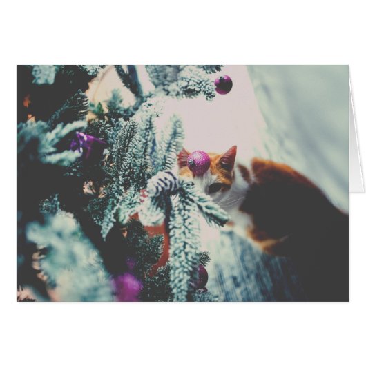 Kat onder de kerstboom (Voorkant Horizontaal)