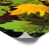 Kat onder het Poster van de Bloemen Druk (Hoek)