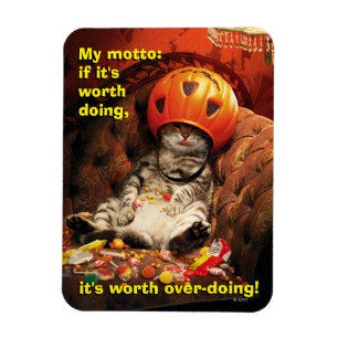 Kat onder Snoep Bucket Magneet