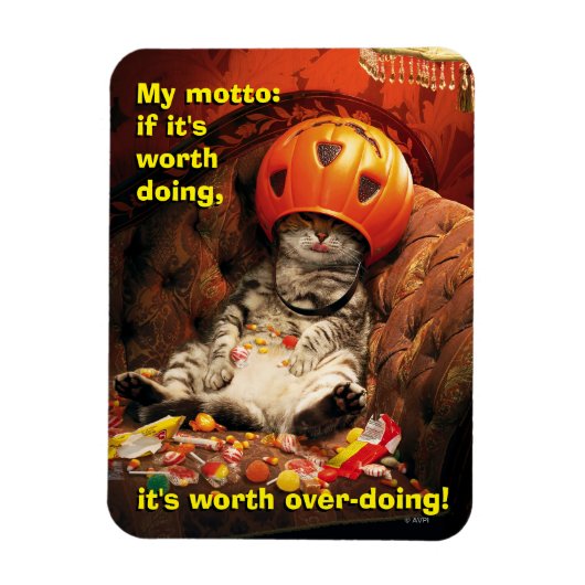 Kat onder Snoep Bucket Magneet (Verticaal)