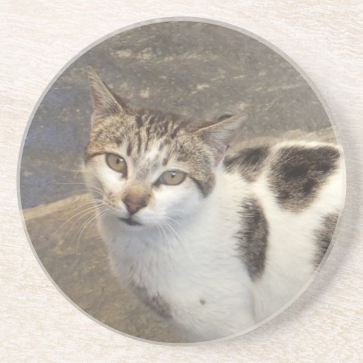 Kat onderzetter (Voorkant)