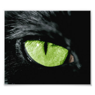 Kat oog foto afdruk