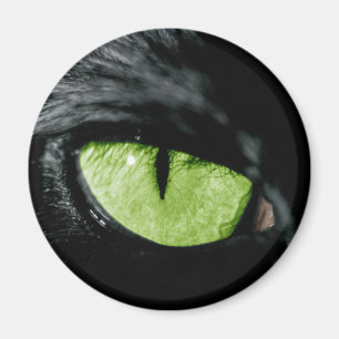 Kat oog magneet