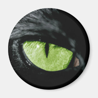 Kat oog magneet