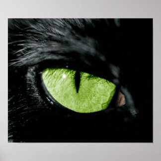 Kat oog poster