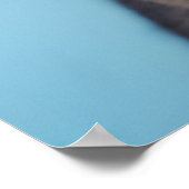 Kat-oorbril Poster (Hoek)