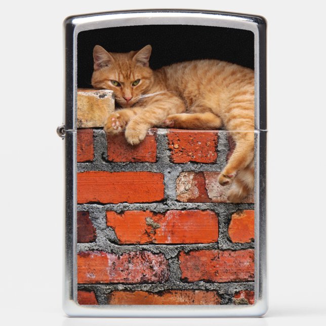 Kat op Brick Wall (Voorkant)