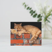 Kat op Brick Wall Briefkaart (Staand voorkant)