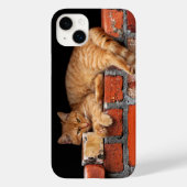 Kat op Brick Wall Case-Mate iPhone Case (Achterkant)