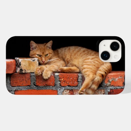 Kat op Brick Wall Case-Mate iPhone Case (Achterkant (horizontaal))