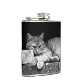 Kat op Brick Wall Heupfles (Rechts)