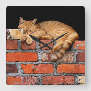 Kat op Brick Wall Vierkante Klok