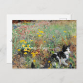 Kat op de vloer briefkaart (Voorkant / Achterkant)