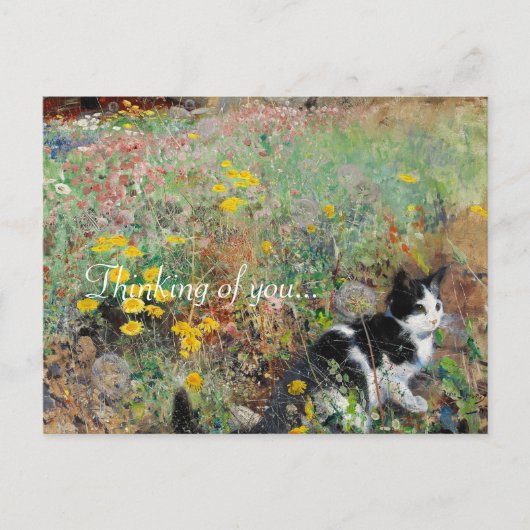 Kat op de vloer briefkaart (Voorkant)