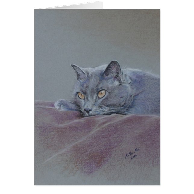 Kat op deken, gewoon relaxerend, mooie kunst (Voorkant)