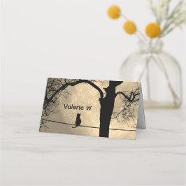 Kat op een draad Volle Maan