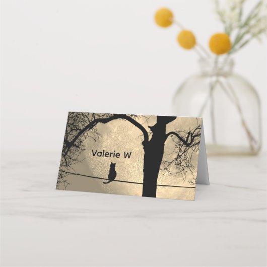 Kat op een draad Volle Maan (Voorkant)