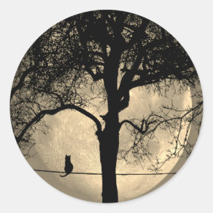 Kat op een draad Volle Maan Ronde Sticker