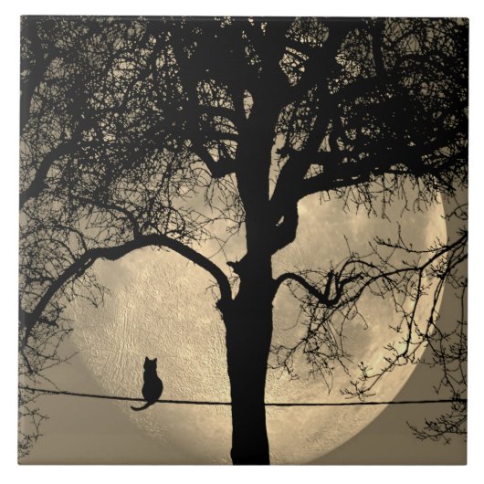 Kat op een draad Volle Maan Tegeltje (Voorkant)