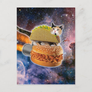 Kat op een rocketburger briefkaart
