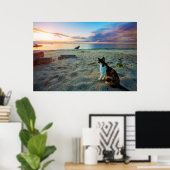 Kat op een strand poster (Thuiskantoor)