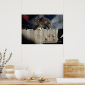 Kat op hek (10) Poster (Keuken)