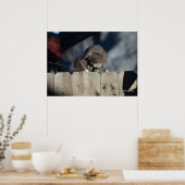 Kat op hek (11) Poster (Keuken)