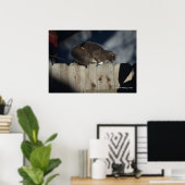 Kat op hek (14) Poster (Thuiskantoor)