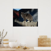 Kat op hek (20) Poster (Keuken)