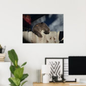 Kat op hek (3) Poster (Thuiskantoor)