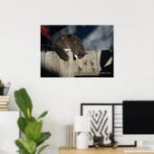 Kat op hek (4) Poster (Thuiskantoor)