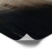 Kat op hek (6) Poster (Hoek)