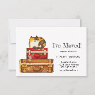 Kat op koffers die ik heb verplaatst aankondiging