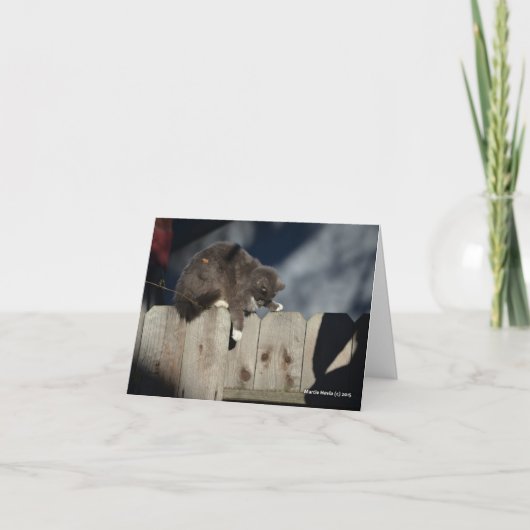 Kat op Omheining (9) Kaart (Voorkant)