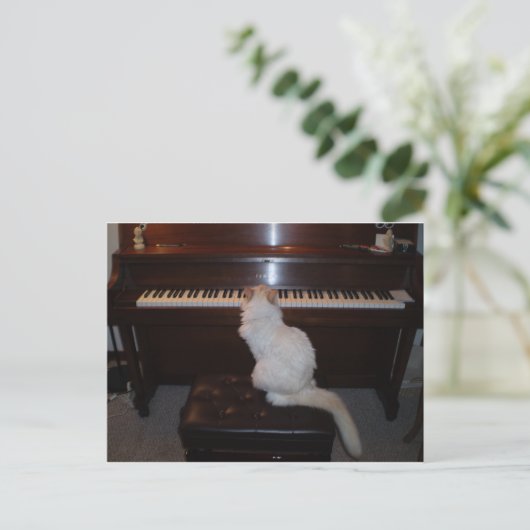 Kat op Piano Briefkaart (Staand voorkant)